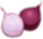 onion.png