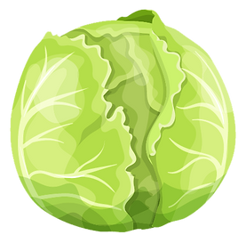 cabbage.png