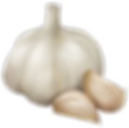 garlic2.png